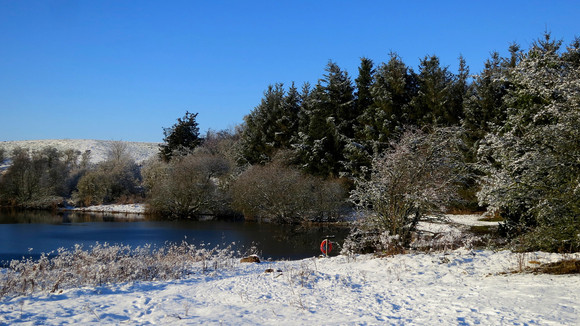 Forfar Loch