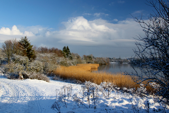 Forfar Loch