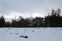 A snowy walk at the White Caterthun