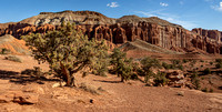 Capitol Reef National Park.