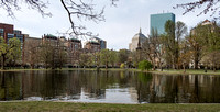 Boston Public Garden.