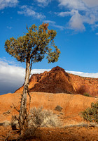 Capitol Reef National Park.