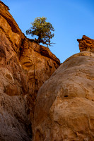 Capitol Reef National Park.