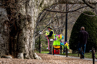 The balloon seller, Boston Public Garden.