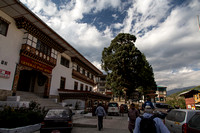 Visiting the General Post Office in Thimphu.