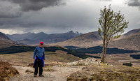 On the West Highland Way.