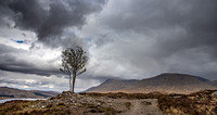 On the West Highland Way.