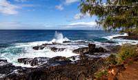 On the coast of Kauai.