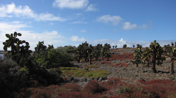The fascinating landscape of Plaza Sur.