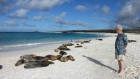 Galapagos 2009