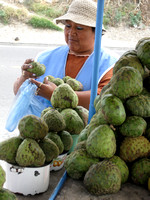 Ecuador.