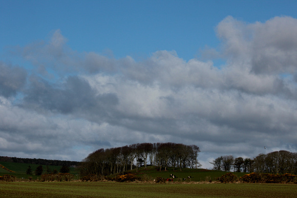 Farmland beside the cliff tops
