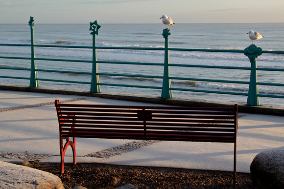 Sunrise at Montrose Beach