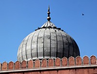 Pigeons at the Jama Masjid, the great mosque of Delhi.