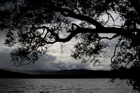 Loch Kinord, near Dinnet, Oct 2012