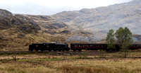 The Jacobite steam train.