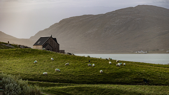 Luskentyre, Harris