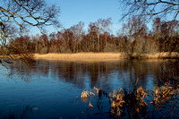 Loch Kinord, near Dinnet, February 2012